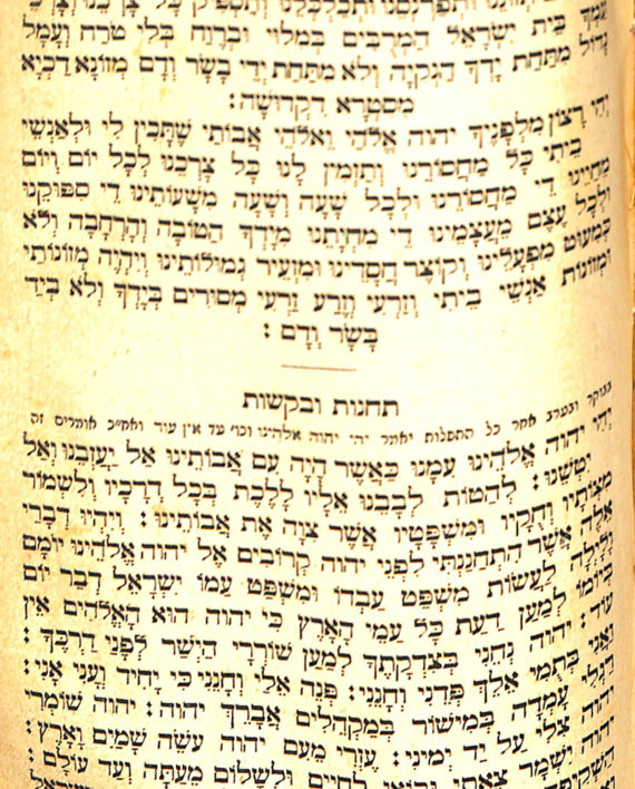 142. Siddur Koheles Shlomo/ Horowitz-Hager R. Yiddele – הורוויץ-הגר ר ...